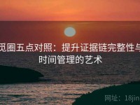 觅圈五点对照：提升证据链完整性与时间管理的艺术