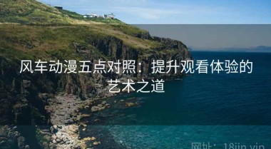 风车动漫五点对照：提升观看体验的艺术之道