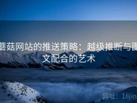 蘑菇网站的推送策略：越级推断与图文配合的艺术