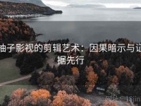 柚子影视的剪辑艺术：因果暗示与证据先行