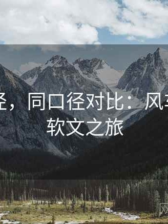 核对口径，同口径对比：风车动漫的软文之旅