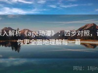 深入解析《age动漫》：四步对照，让你更全面地理解每一幕