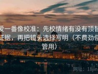 爱一番像校准：先校情绪有没有顶替证据，再把镜头选择写明（不费劲但管用）