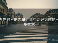 理性思考的力量：黑料网评论前的一步智慧