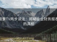 菠萝TV两步读法：揭秘企业财务报表的真相