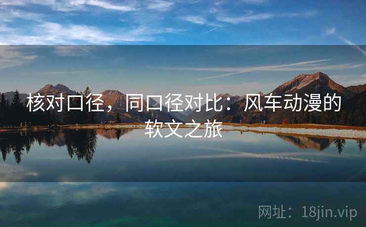 核对口径，同口径对比：风车动漫的软文之旅